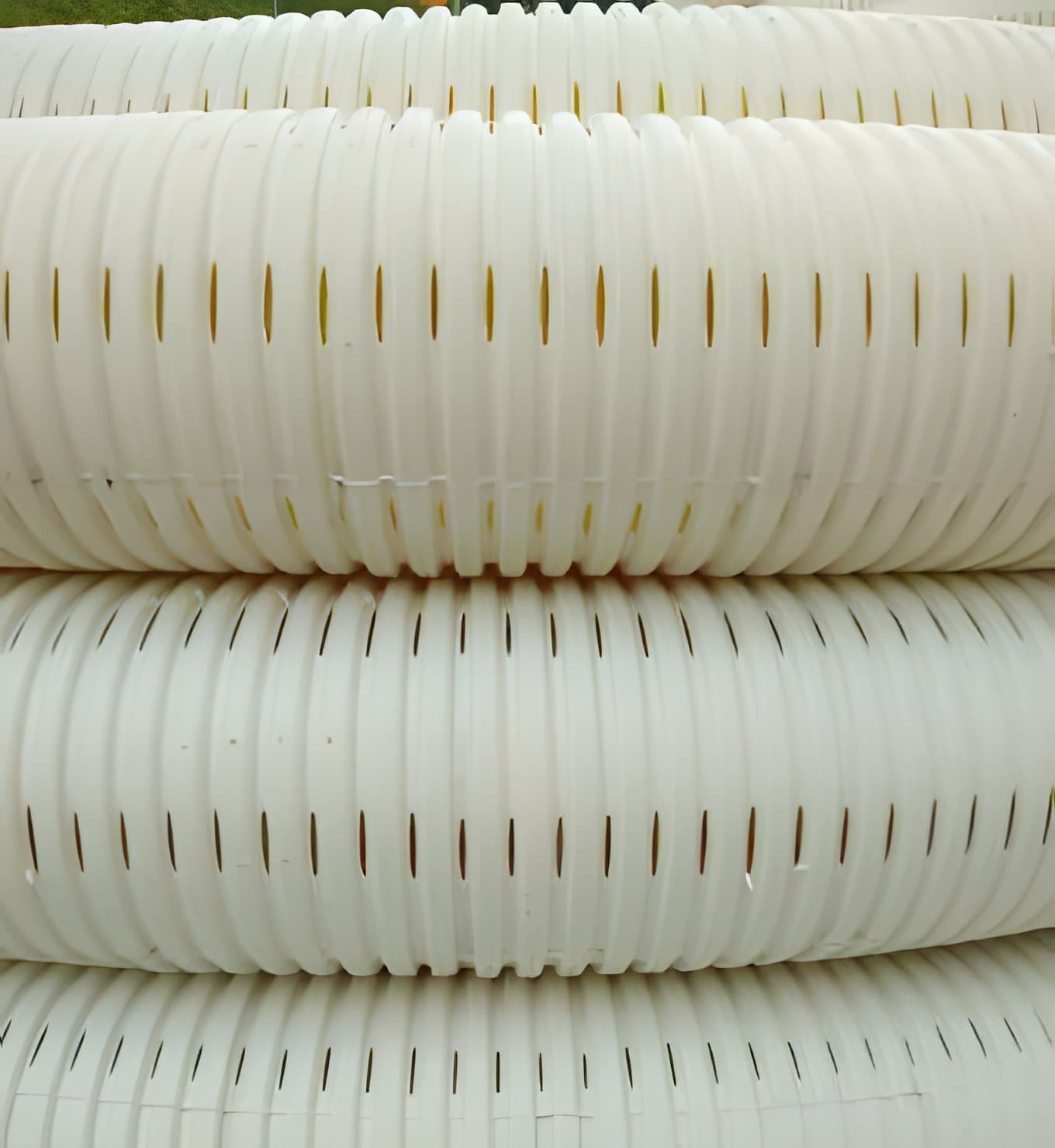 Coils of perforated subsurface drainage pipe