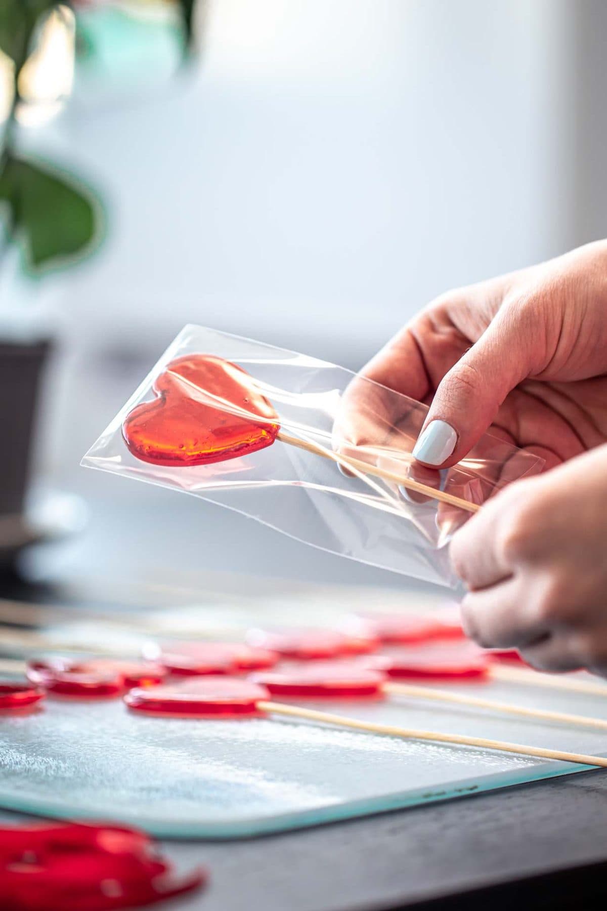 Manos sosteniendo una bolsa plástica transparente